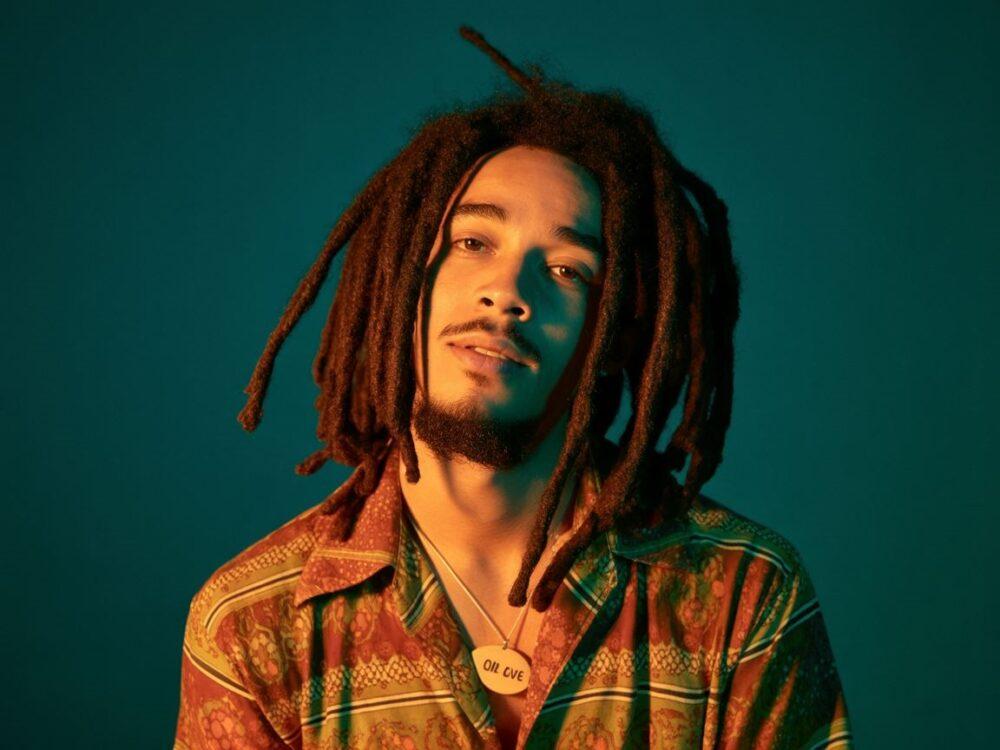 fryzura reggae